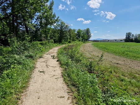 Izgradnja protipoplavnega nasipa Šmarca - Nožice - etapa 1 (7)